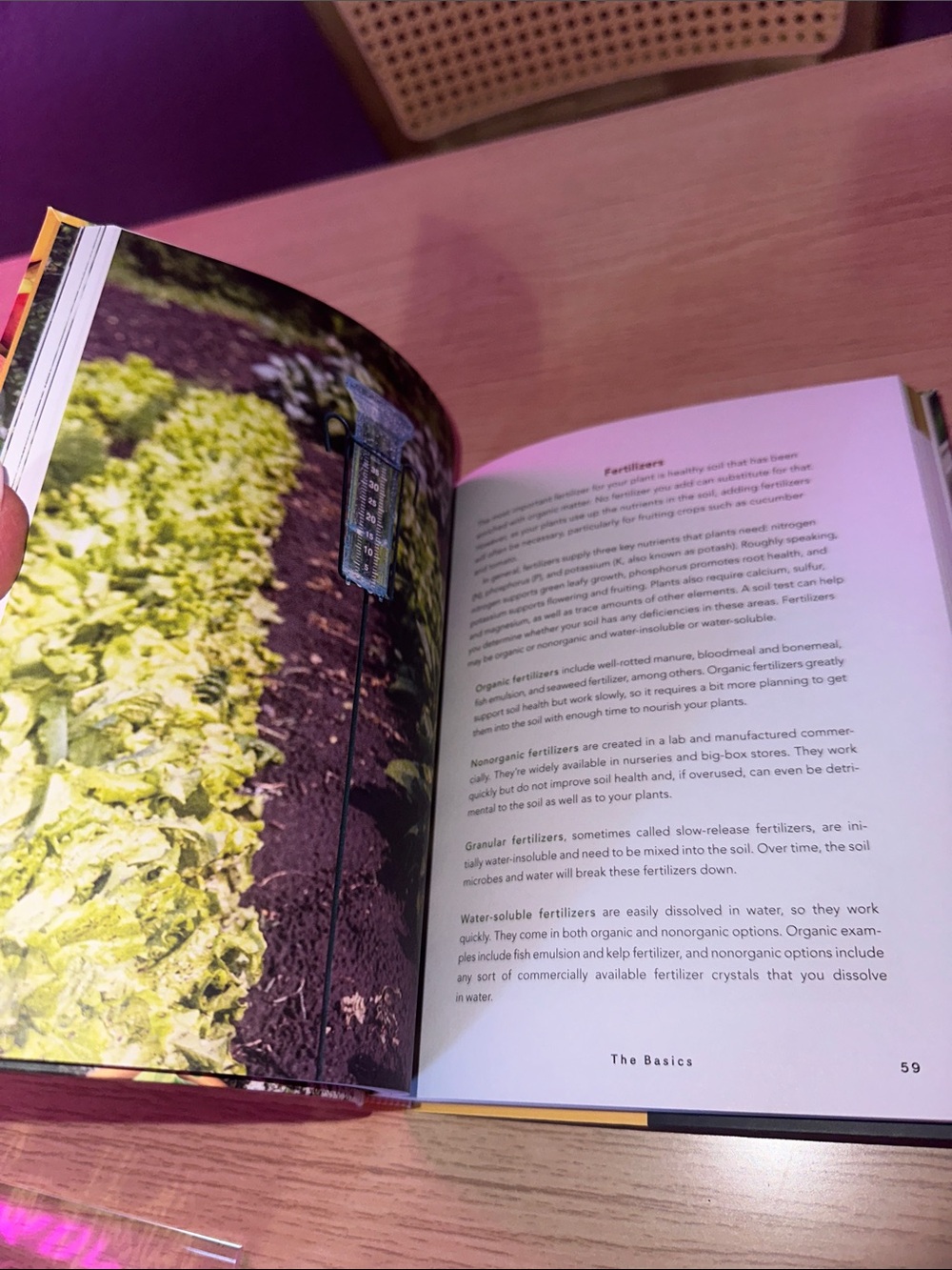 Veg Out! - Colorful Gardening Guide (Pink) - Picture 6 of 6